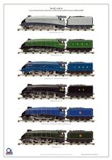 ACE Trains A4 Locomotives Large Wall Display Poster image 1