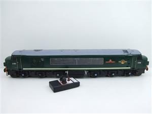 Gauge 1 Wagon & Carriage Works Brass BR Green Class 45 Diesel "Sherwood Forester" D100 R/Controlled image 1