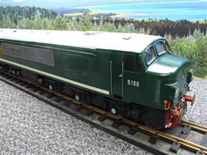 Gauge 1 Wagon & Carriage Works Brass BR Green Class 45 Diesel "Sherwood Forester" D100 R/Controlled image 3