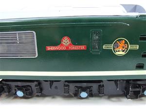 Gauge 1 Wagon & Carriage Works Brass BR Green Class 45 Diesel "Sherwood Forester" D100 R/Controlled image 5