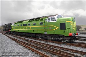 Ace Trains O Gauge E41A2 DP1 "Deltic" Prototype Diesel LNER Gloss Apple Green image 1