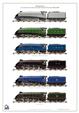 ACE Trains A4 Locomotives Large Wall Display Poster